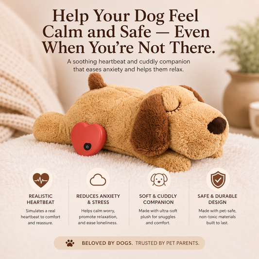 Calming Heartbeat Dog Toy