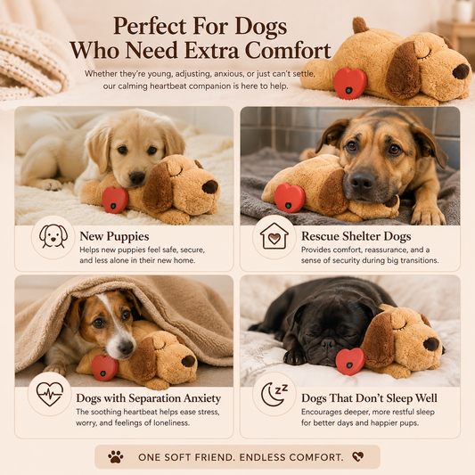 Calming Heartbeat Dog Toy